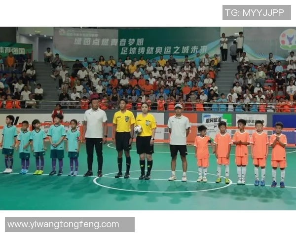 保定足球明星的崛起与辉煌历程探秘，谁是这座城市的骄傲之星