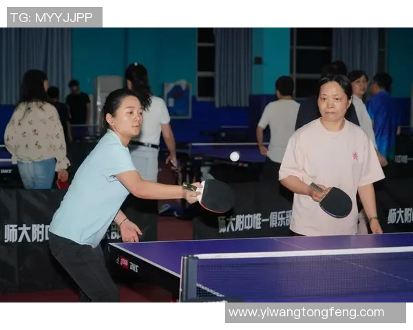 乒乓球的魅力：深入深圳乒乓球队的团队协作与默契之道