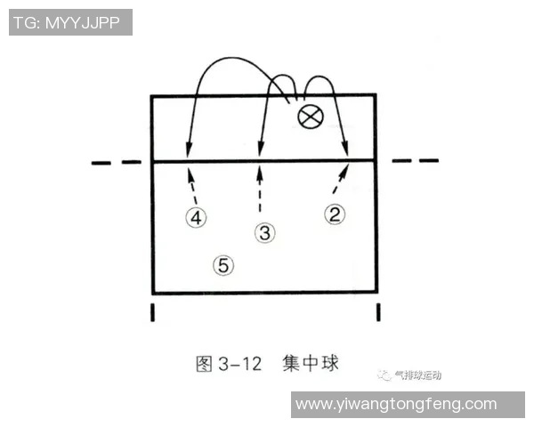 西安排球队的战术调整与比赛控制能力分析
