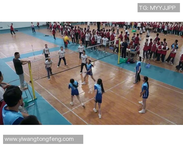 权威发布：2023年排球比赛实力与经验综合排行榜揭晓