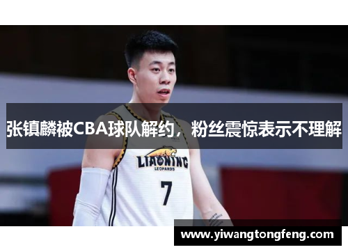 张镇麟被CBA球队解约，粉丝震惊表示不理解