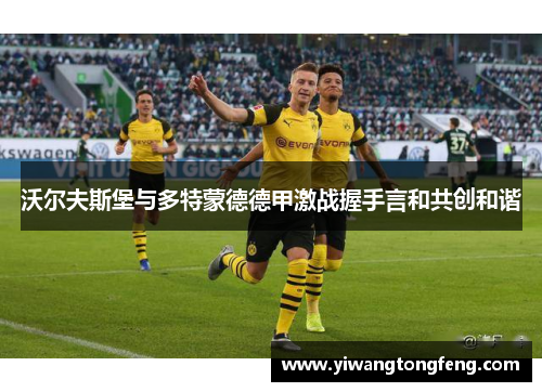 沃尔夫斯堡与多特蒙德德甲激战握手言和共创和谐